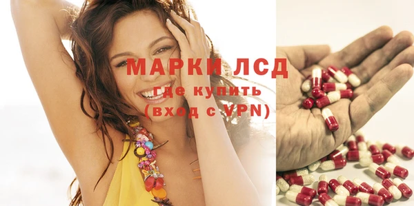 стафф Протвино