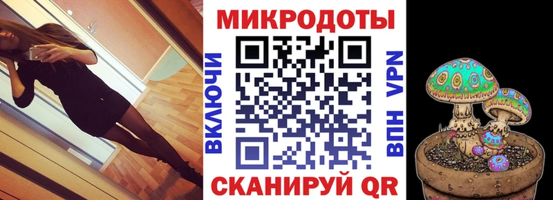 Купить закладки  Волжский  Галлюциногенные грибы Psilocybine cubensis 